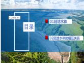 4.1陆地水体及其相互关系课件2021-2022学年人教版（2019）高中地理选择性必修一