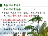 5.1自然环境的整体性课件2021-2022学年人教版（2019）高中地理选择性必修一