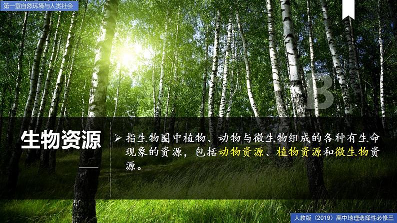 1.2自然资源及其利用 课件+精选练习08