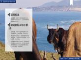 2.3中國的耕地資源與糧食安全 課件+精選練習(xí)