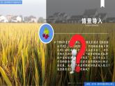 2.3中国的耕地资源与粮食安全 课件+精选练习