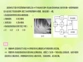 湘教版高中地理选择性必修1第二章岩石圈与地表形态（课时2）课件