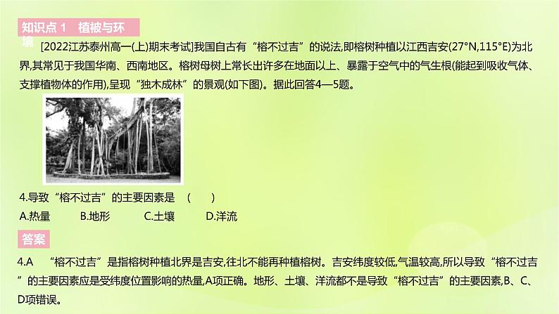 新人教版高中地理必修第一册第五章植被与土壤（课时1）课件第7页