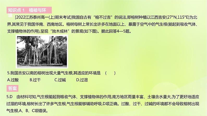 新人教版高中地理必修第一册第五章植被与土壤（课时1）课件第8页