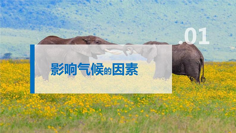 3.3气压带和风带对气候的影响课件2021-2022学年人教版（2019）高中地理选择性必修一04