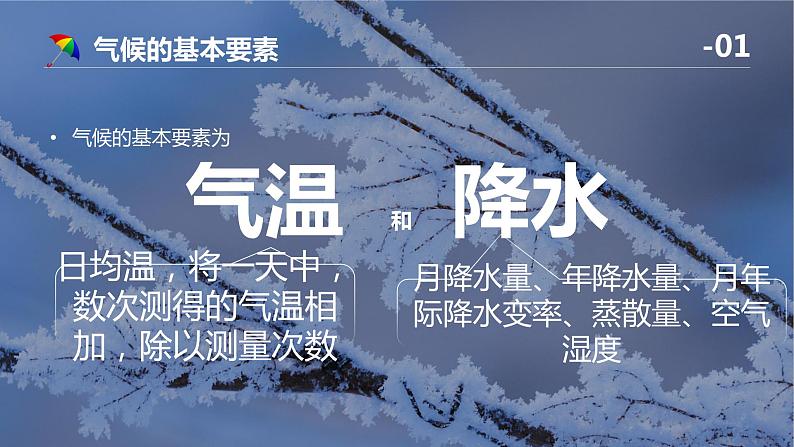 3.3气压带和风带对气候的影响课件2021-2022学年人教版（2019）高中地理选择性必修一05