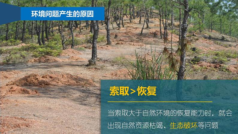 5.1人类面临的主要环境问题-【新教材】人教版高中地理必修二课件第8页