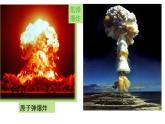 问题探究 是否应该发展核能（课件）