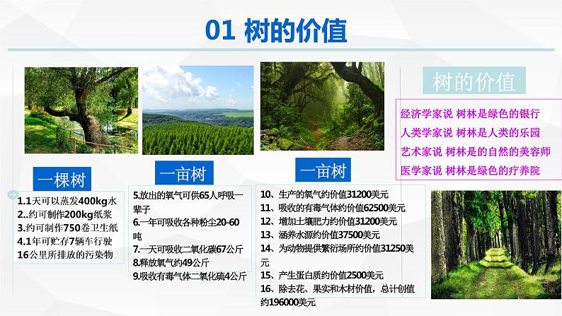 1.1自然环境的服务功能（课件）--2022-2023学年高二地理人教版（2019）选择性必修3第3页