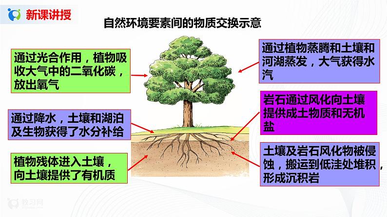 5.1《地理环境的整体性》课件+教学设计06