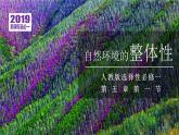 高中地理 选必一《自然环境的整体性》第二课时 课件