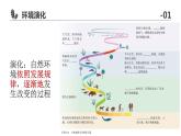 高中地理 选必一《自然环境的整体性》第二课时 课件