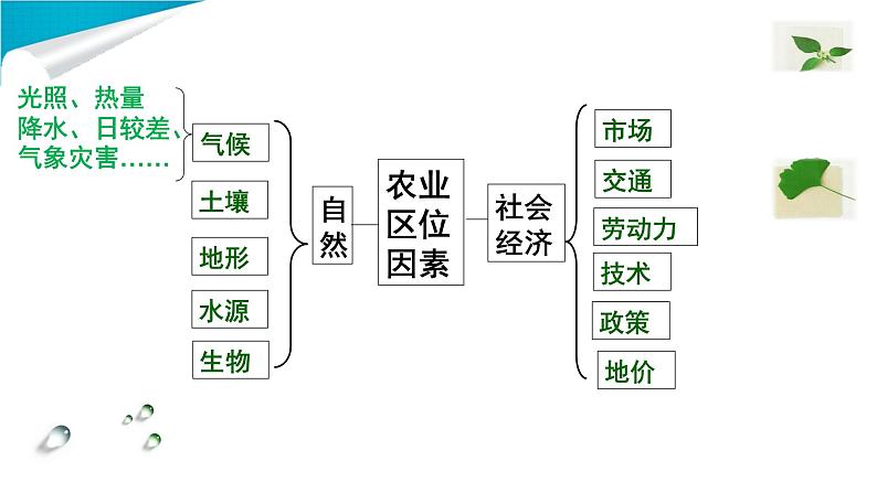 高中地理 必修2 农业区位因素的变化B 课件第3页