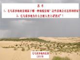 高中地理 必修一《常见的地貌类型》第二课时 风沙地貌 海岸地貌  课件