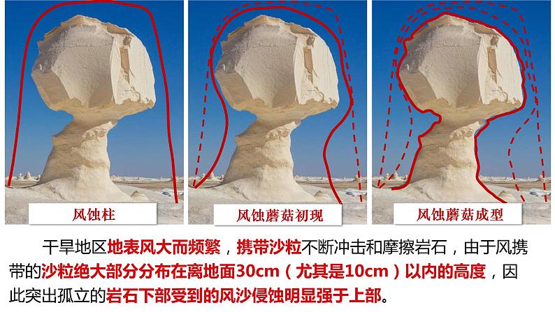 高中地理 必修一《常见的地貌类型》第二课时 风沙地貌 海岸地貌  课件第8页