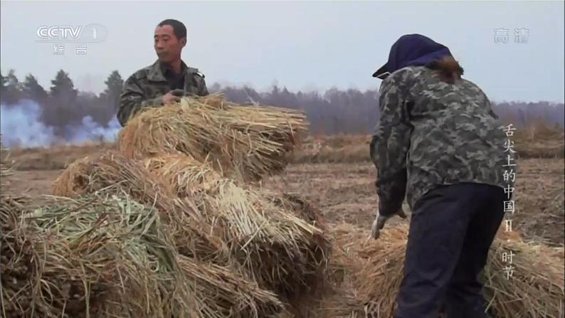 高中地理 高三术科生地理学科复习备考 农业区位选择 课件03