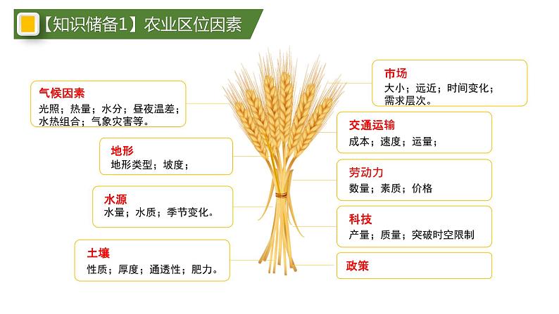 高中地理 高三术科生地理学科复习备考 农业区位选择 课件05