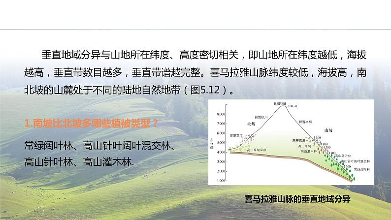 高中地理 选必一 垂直地域分异规律 垂直地带性 课件07