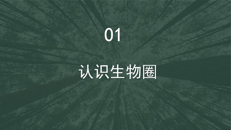 2.3生物圈与植被（精品课件）-2022-2023学年高一地理同步备课系列（鲁教版2019必修第一册）03