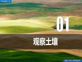 5.2土壤（精品课件）-2022-2023学年高一地理人教版2019必修第一册同步备课系列