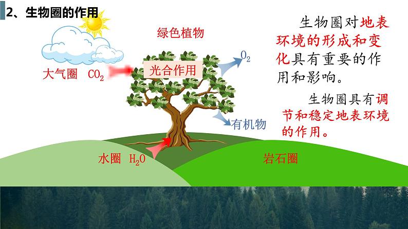 2.3《生物圈与植被》 课件06