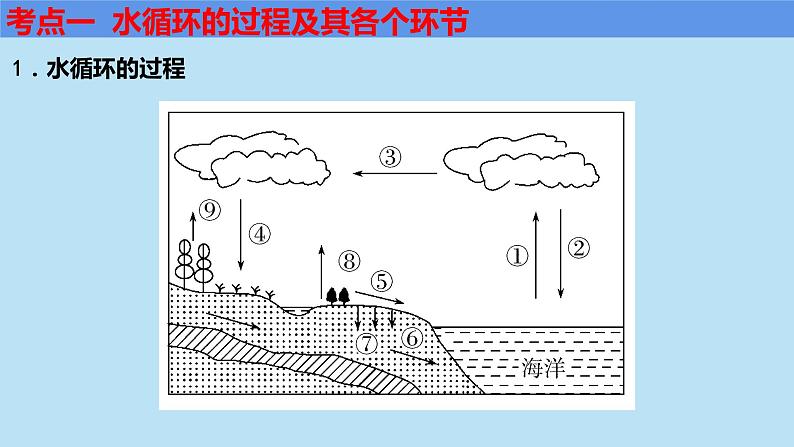 鲁教版《水圈的组成与水循环》ppt课件第5页