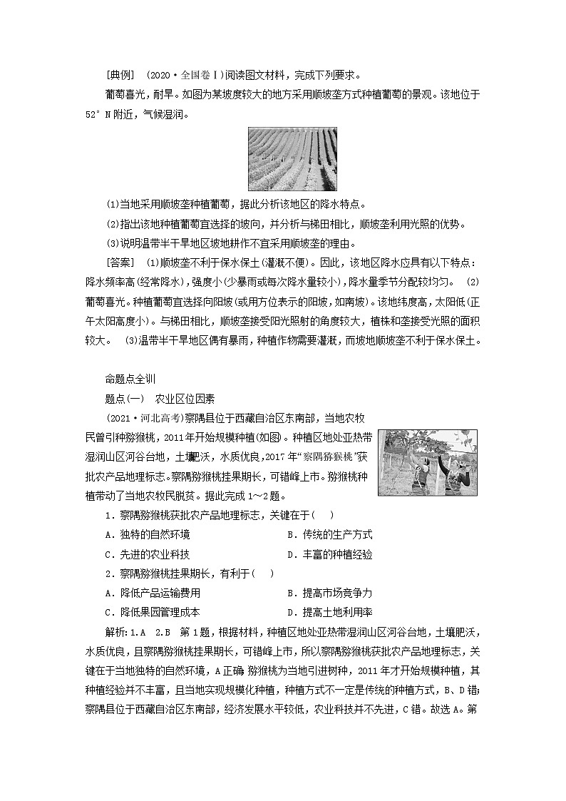 新课标2023版高考地理一轮总复习第十一章产业区位因素第一节农业区位因素及其变化教师用书第3页