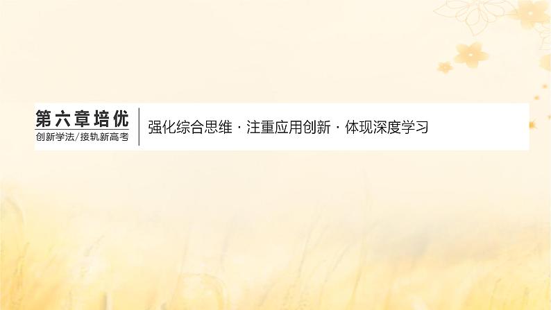 新课标2023版高考地理一轮总复习第六章地貌与地表形态的塑造第五节用动态演变的视角分析地表形态的变化综合思维课件01