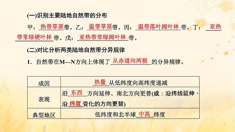 新课标2023版高考地理一轮总复习第七章植被土壤与自然环境的整体性和差异性第三节自然环境的地域差异性课件第2页