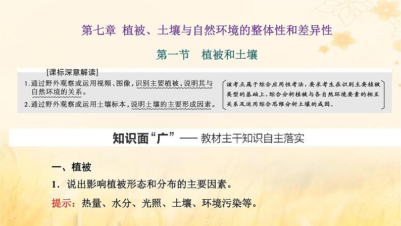 新课标2023版高考地理一轮总复习第七章植被土壤与自然环境的整体性和差异性第一节植被和土壤课件第1页