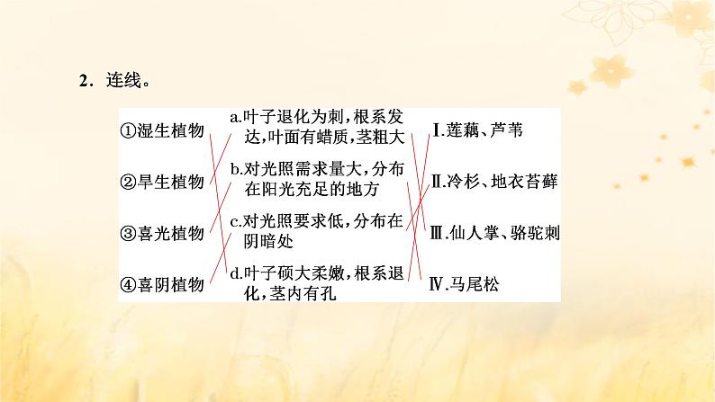 新课标2023版高考地理一轮总复习第七章植被土壤与自然环境的整体性和差异性第一节植被和土壤课件第2页