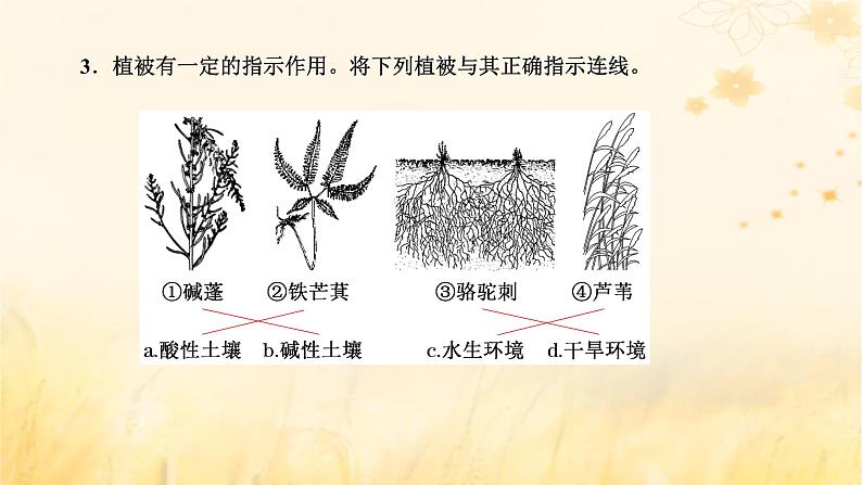 新课标2023版高考地理一轮总复习第七章植被土壤与自然环境的整体性和差异性第一节植被和土壤课件第3页