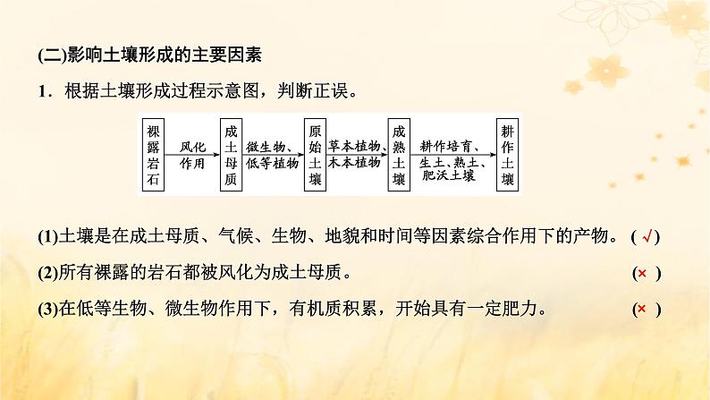 新课标2023版高考地理一轮总复习第七章植被土壤与自然环境的整体性和差异性第一节植被和土壤课件第5页