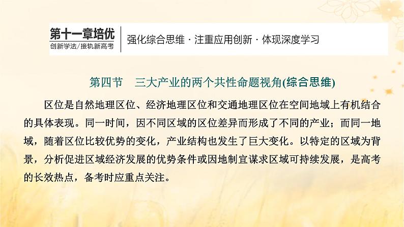 新课标2023版高考地理一轮总复习第十一章产业区位因素第四节三大产业的两个共性命题视角综合思维课件第1页