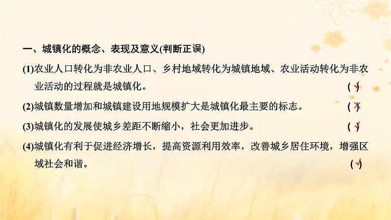 新课标2023版高考地理一轮总复习第十章乡村和城镇第二节城镇化与城市的辐射功能课件第2页