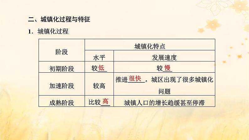 新课标2023版高考地理一轮总复习第十章乡村和城镇第二节城镇化与城市的辐射功能课件第3页