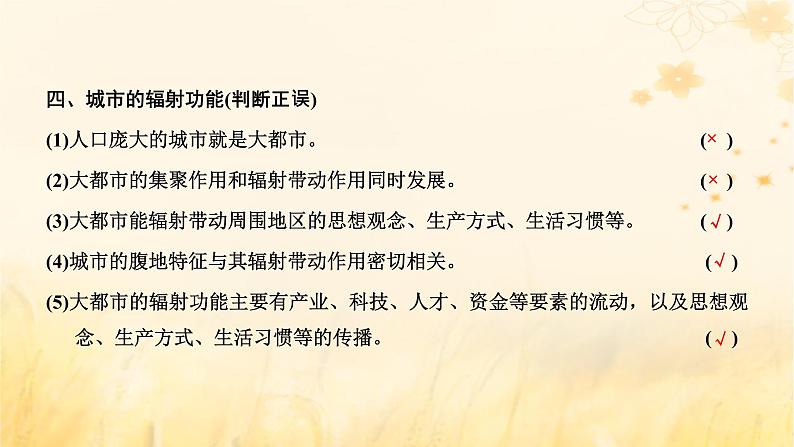 新课标2023版高考地理一轮总复习第十章乡村和城镇第二节城镇化与城市的辐射功能课件第8页