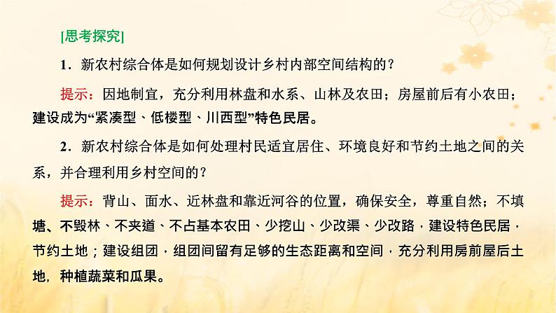 新课标2023版高考地理一轮总复习第十章乡村和城镇第三节新时代下乡村与城镇的发展方向科学发展课件04