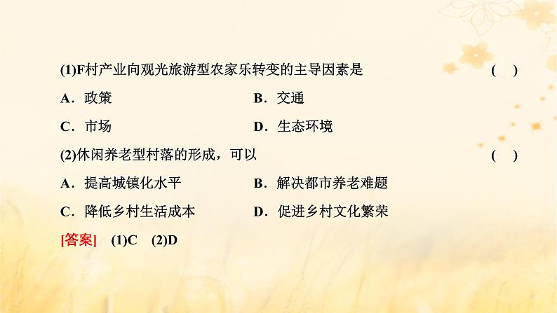 新课标2023版高考地理一轮总复习第十章乡村和城镇第三节新时代下乡村与城镇的发展方向科学发展课件06