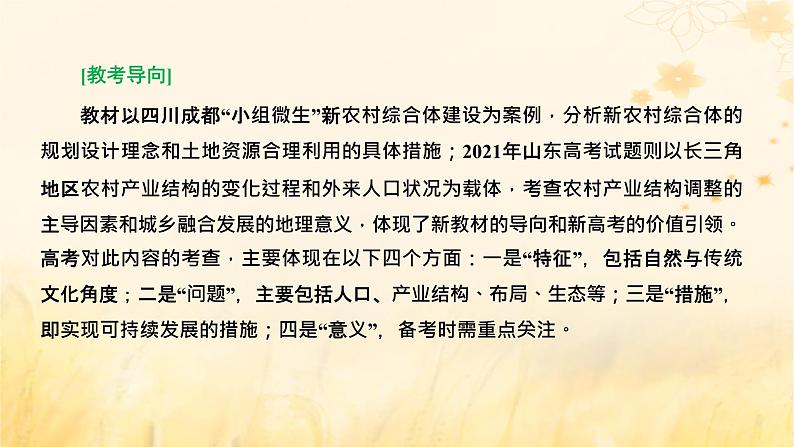 新课标2023版高考地理一轮总复习第十章乡村和城镇第三节新时代下乡村与城镇的发展方向科学发展课件07