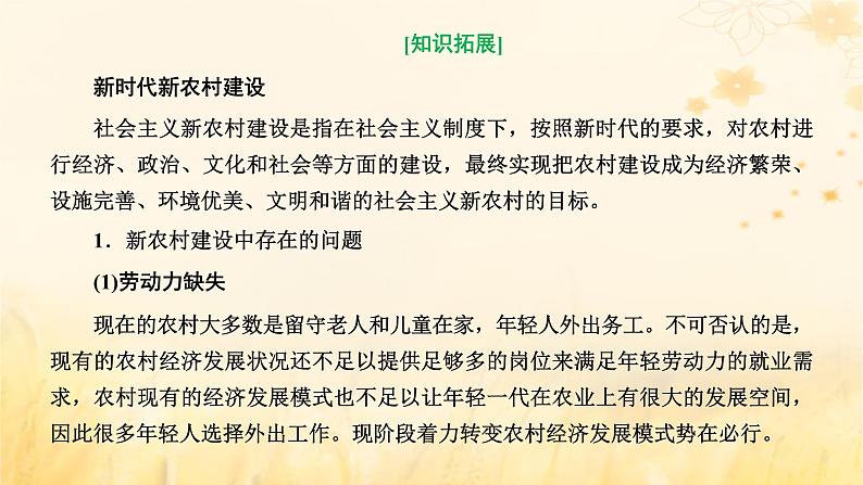 新课标2023版高考地理一轮总复习第十章乡村和城镇第三节新时代下乡村与城镇的发展方向科学发展课件08