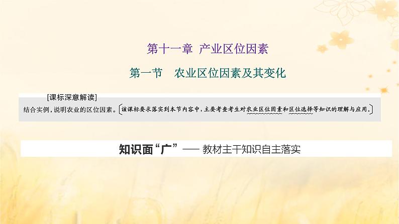 新课标2023版高考地理一轮总复习第十一章产业区位因素第一节农业区位因素及其变化课件01