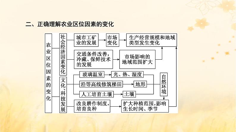 新课标2023版高考地理一轮总复习第十一章产业区位因素第一节农业区位因素及其变化课件08