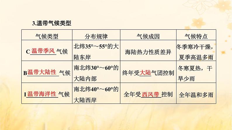 新课标2023版高考地理一轮总复习第四章大气的运动第三节气候的分布成因与特征课件第4页