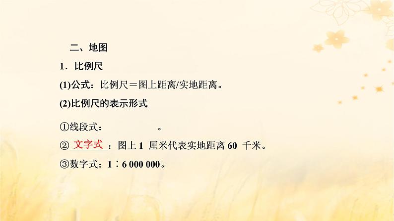 新课标2023版高考地理一轮总复习第一章地球和地图第一节地球仪与地图课件第7页