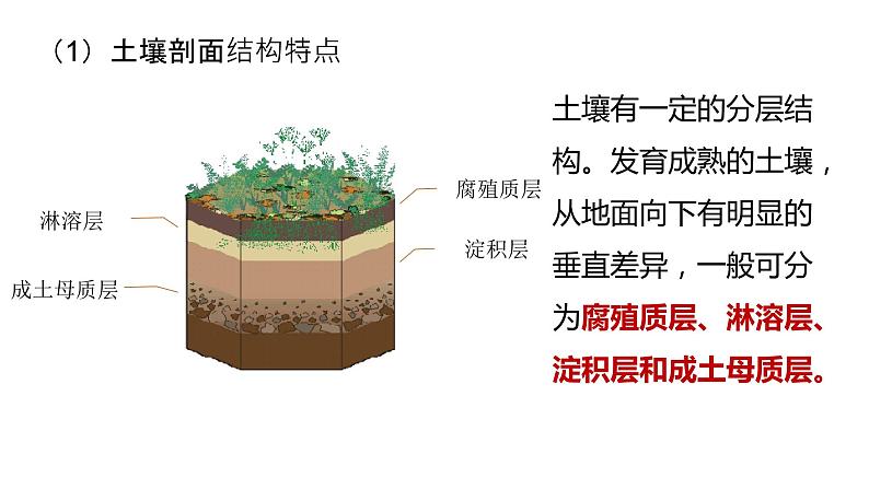 3.4《分析土壤形成的原因》 课件07