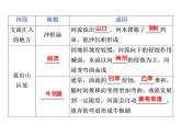 鲁教版高中地理必修第一册第3单元第3节探秘澜沧江-湄公河流域的河流地貌2课件