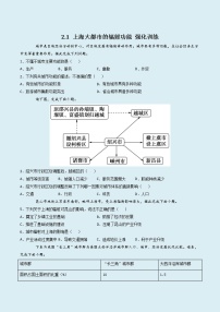 2020-2021学年第二章 区域发展第一节 上海大都市的辐射功能精品练习