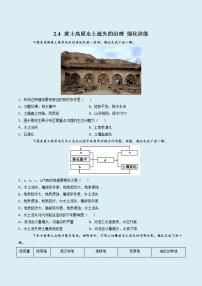 高中地理中图版 (2019)选择性必修2 区域发展第四节 黄土高原水土流失的治理同步测试题