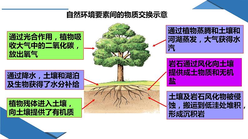 5.1 自然环境的整体性（课件）-2022-2023学年高二地理上学期同步备课系列（人教版2019选择性必修1）第6页